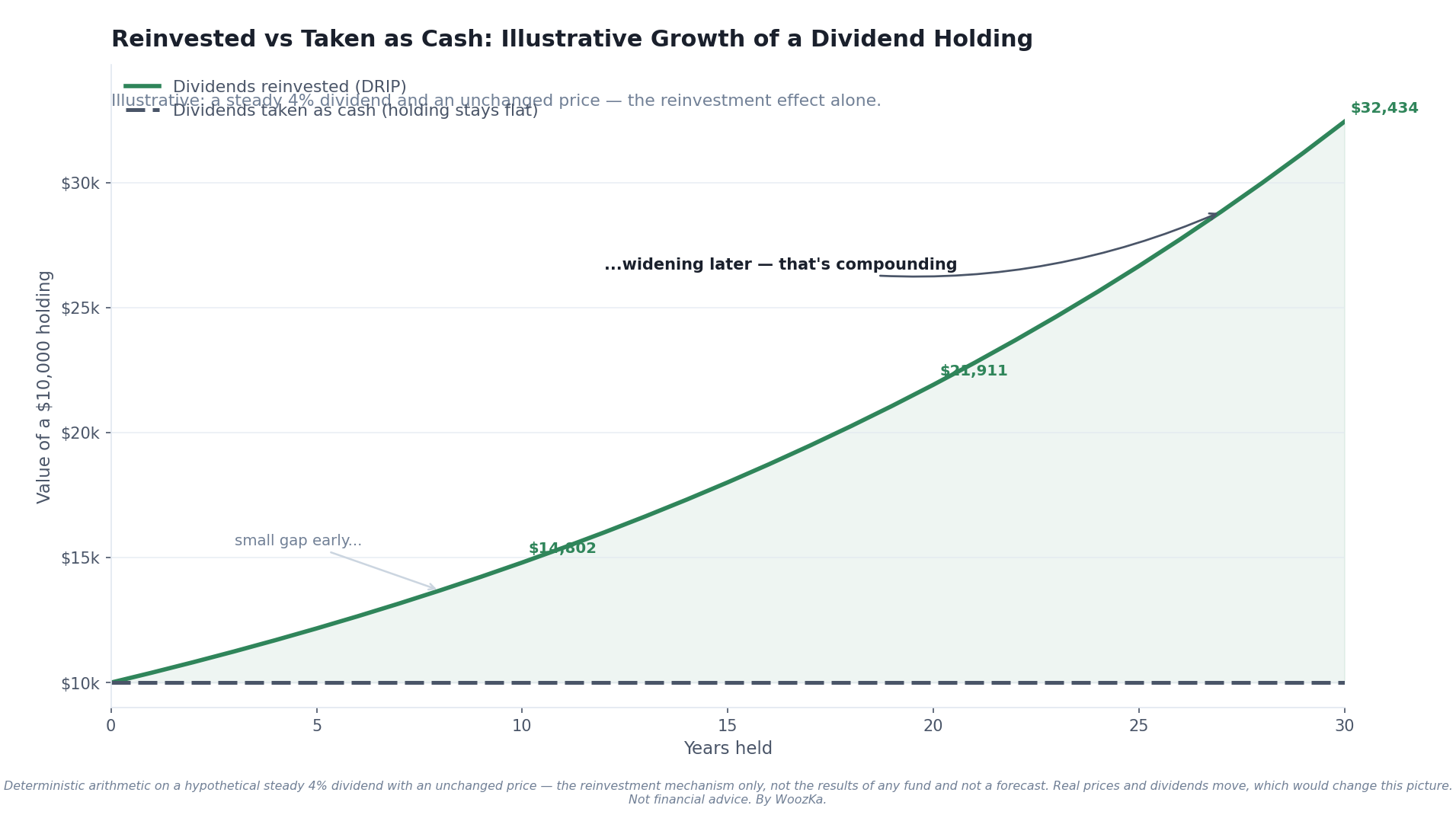 Line chart titled "Reinvested vs taken as cash: illustrative growth of a dividend holding," plotting two lines from a common start over a long horizon. The "dividends reinvested (DRIP)" line pulls gradually above the "dividends taken as cash" line, with the gap between them small for the first several years and widening later. Axes are labeled and a caption states the figures are a simplified illustration assuming a steady dividend, not the results of any real fund.