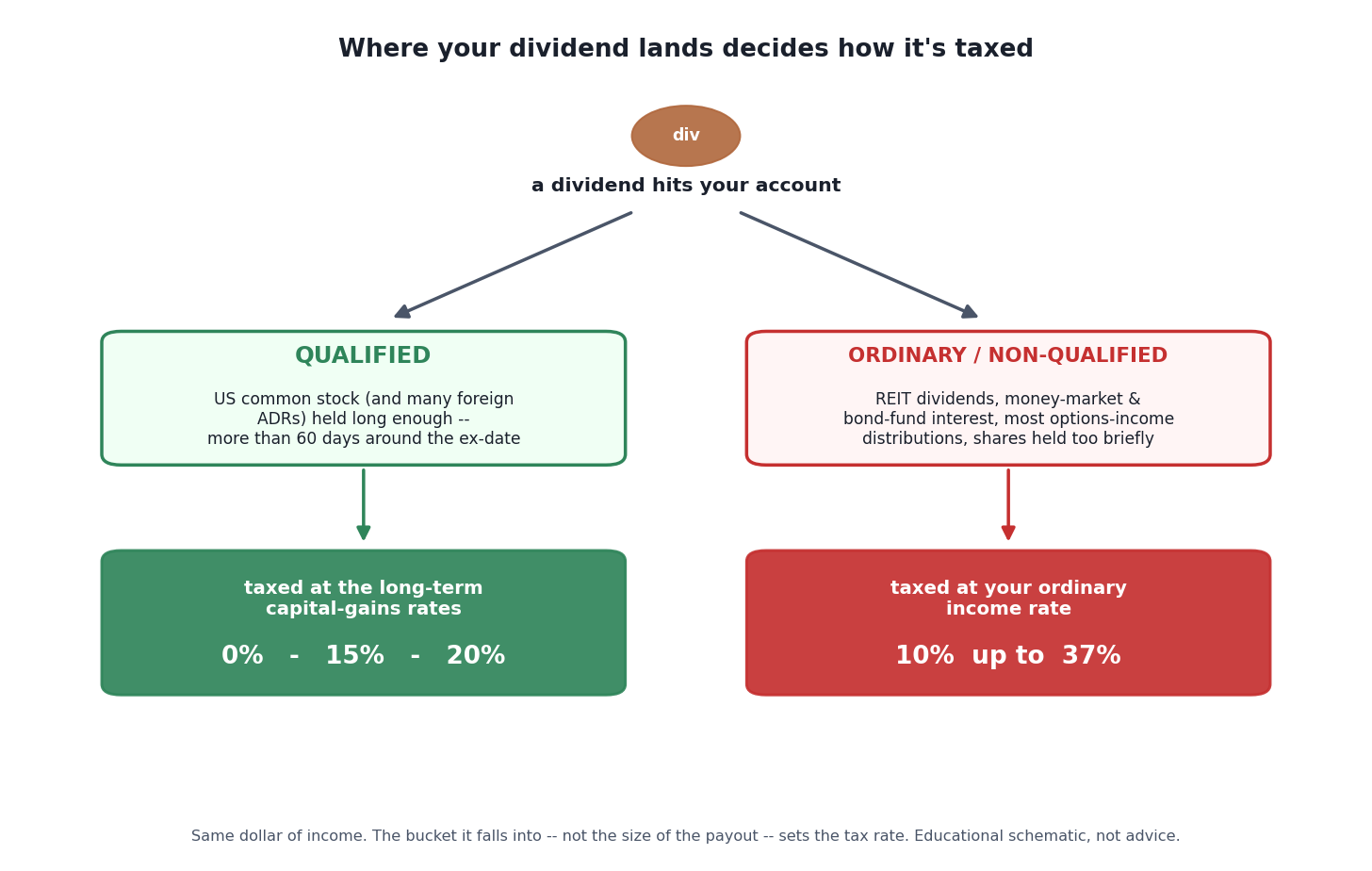 The Dividend Tax Nobody Reads About: Qualified vs Ordinary, and Where You Hold It