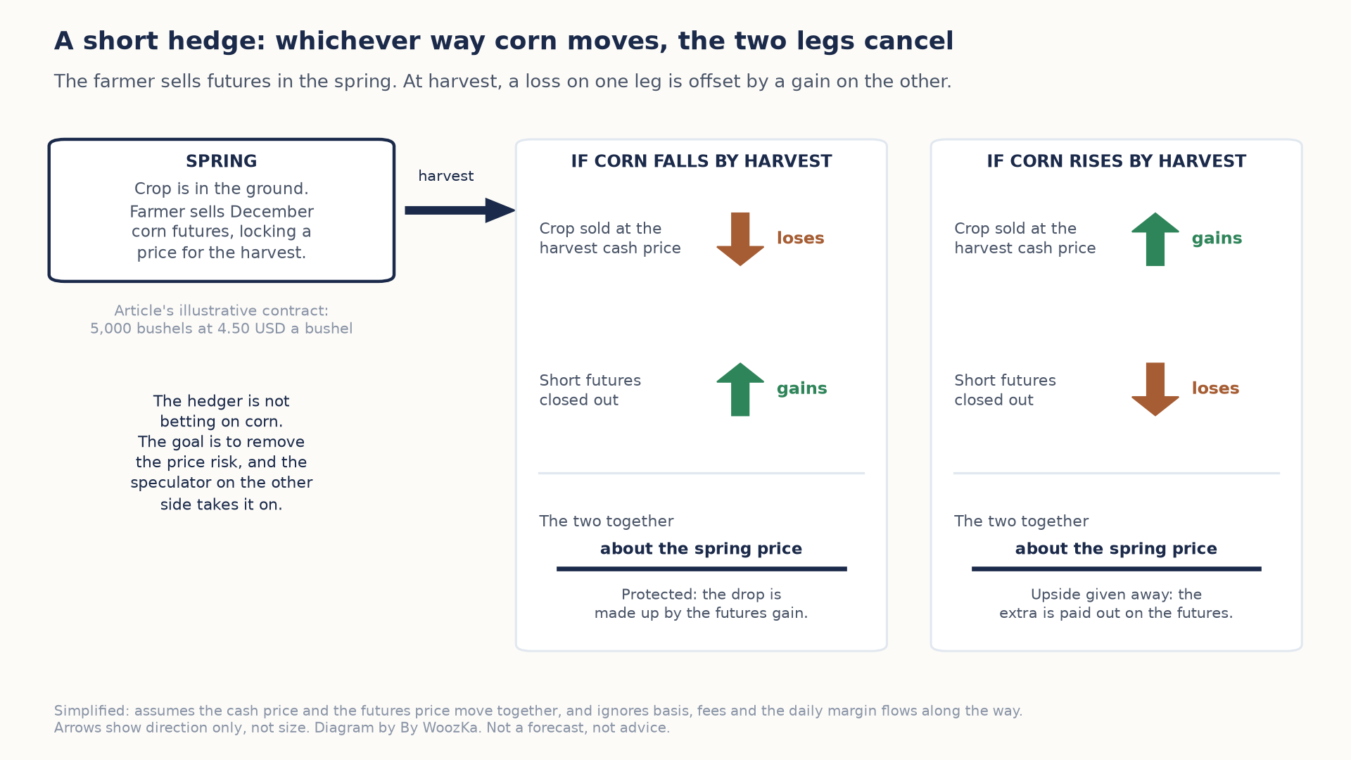 Diagram titled "A short hedge: whichever way corn moves, the two legs cancel." On the left, a spring box: the crop is in the ground and the farmer sells December corn futures, locking a price for the harvest, with the article's illustrative contract of 5,000 bushels at 4.50 US dollars a bushel. A note says the hedger is not betting on corn; the goal is to remove the price risk, and the speculator on the other side takes it on. An arrow labeled harvest leads to two scenario panels. If corn falls by harvest, the crop sold at the cash price loses and the short futures position gains. If corn rises, the crop gains and the short futures loses. In both panels the two together come to about the spring price: protected in the first case, upside given away in the second. Arrows show direction only, not size.